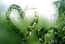 PG电子试玩-F1新赛季揭幕战焦点战，老鹰展翅，独行侠难逃踏平命运