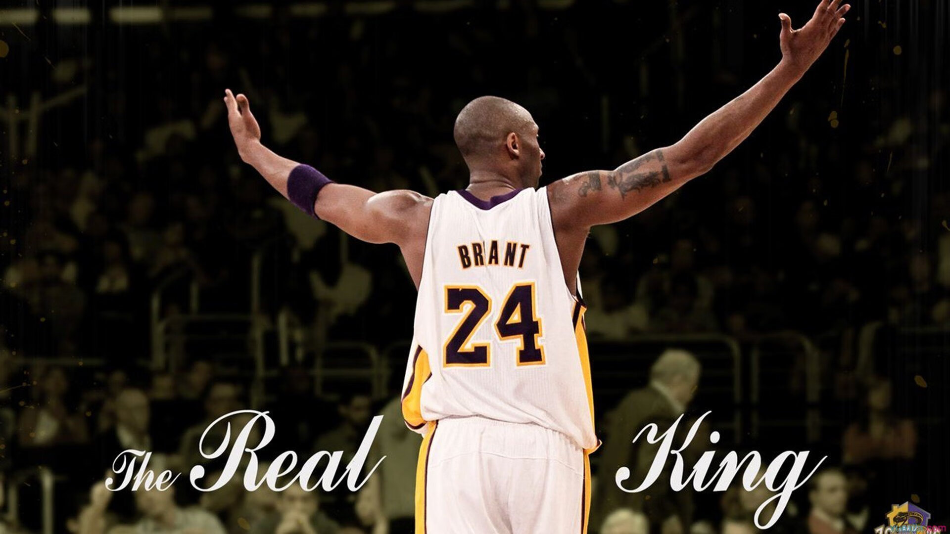 东方力量席卷密尔沃基，王哲林统治级表现引领浙江队横扫雄鹿